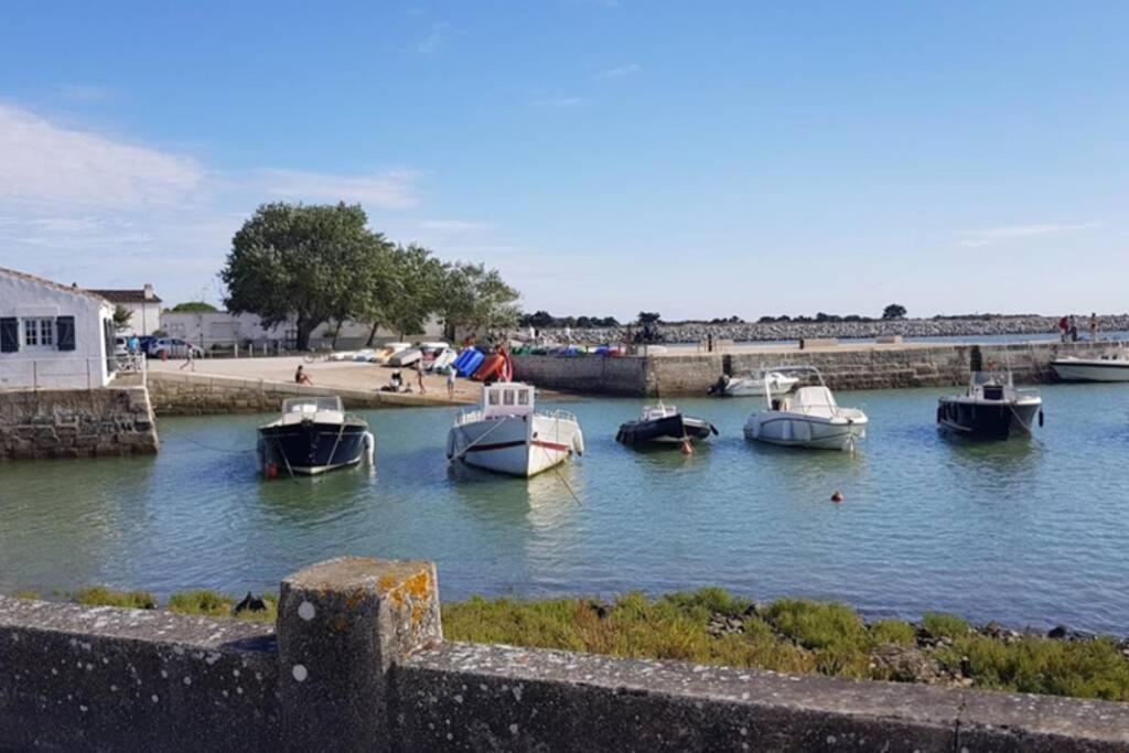 Vila L'Oiseliere ------- Nul Part Ailleurs Loix Exteriér fotografie