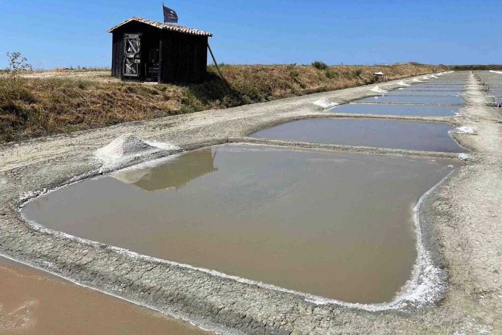 Vila L'Oiseliere ------- Nul Part Ailleurs Loix Exteriér fotografie